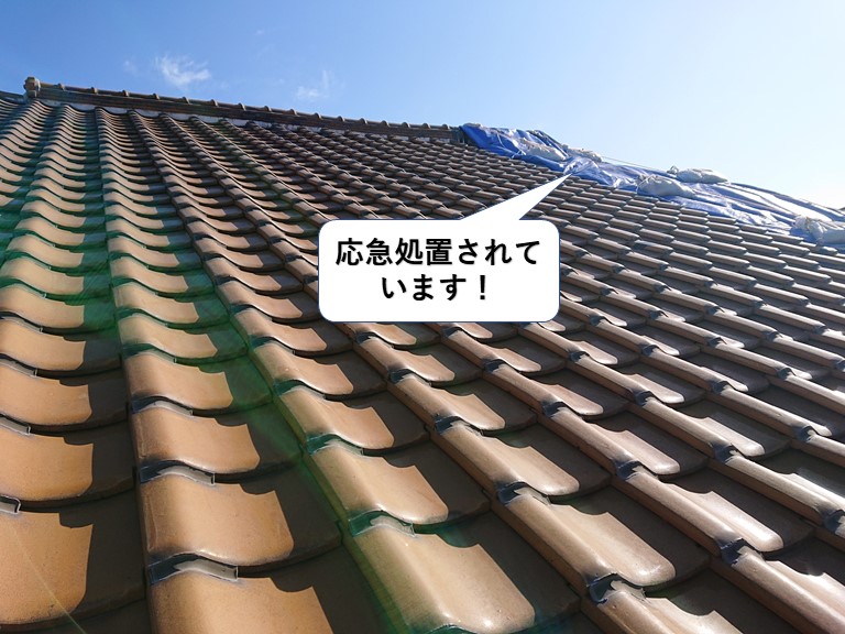 泉大津市の屋根が応急処置されています