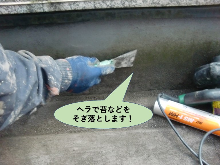 岸和田市のバルコニーのヘラで苔をそぎ落とします！