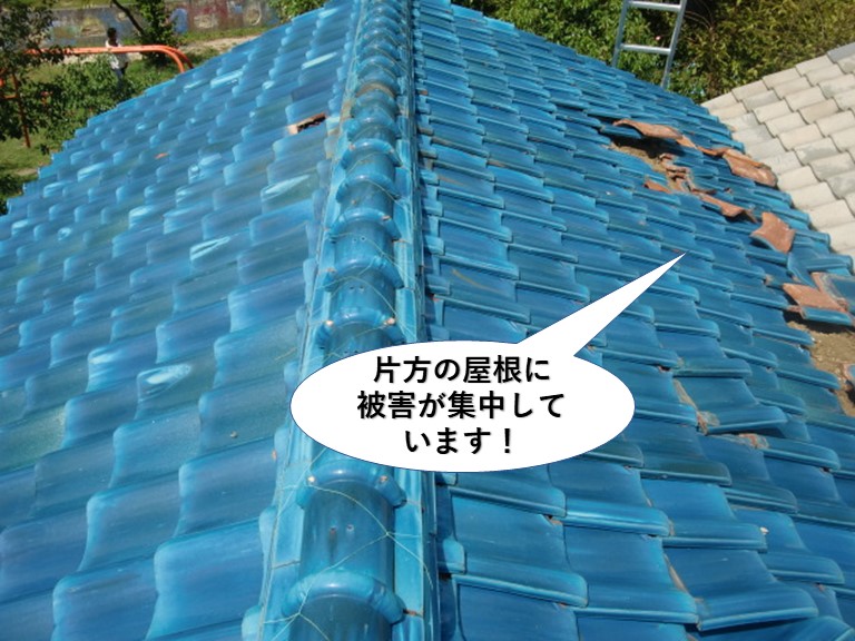 岸和田市の片方の屋根に被害が集中