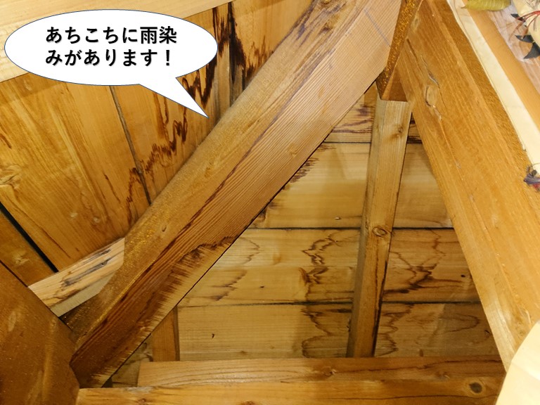岸和田市の小屋裏にあちこちに雨染みがあります