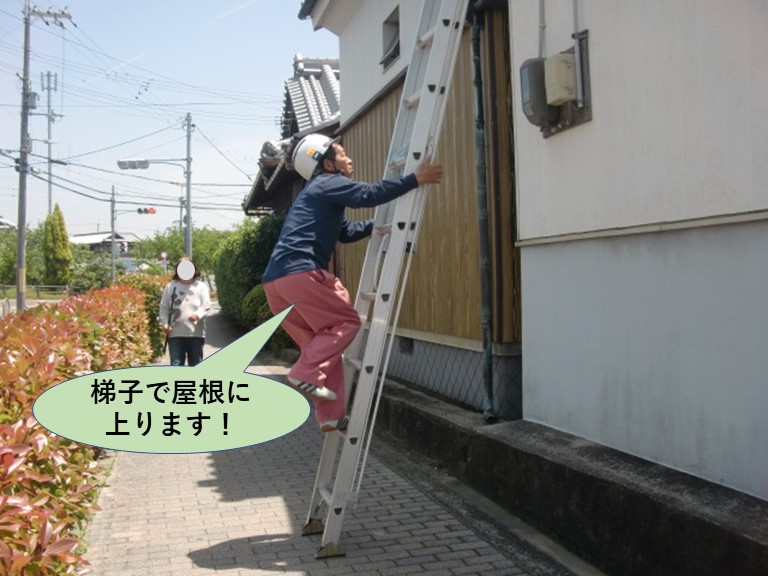 泉佐野市で梯子で屋根に上ります！