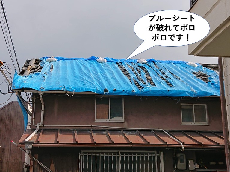 貝塚市の屋根のブルーシートが破れてボ