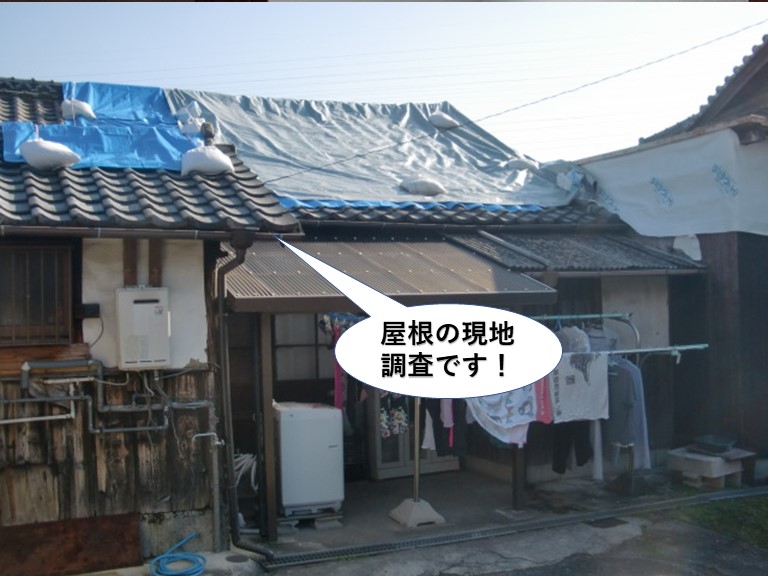 和泉市の平屋建ての屋根の棟瓦が飛散し下にある瓦も割れていました
