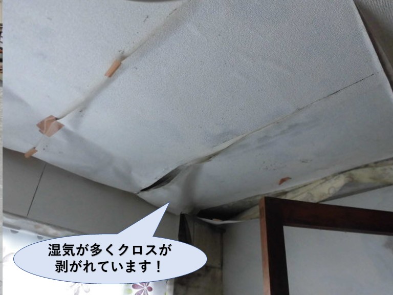 岸和田市の洗面所の湿気が多くクロスが剥がれています！
