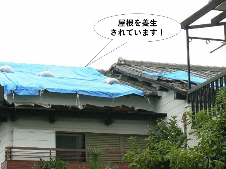 貝塚市の屋根を養生されています