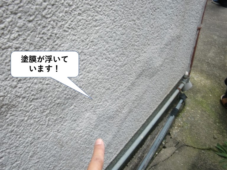 和泉市の外壁の塗膜が浮いています