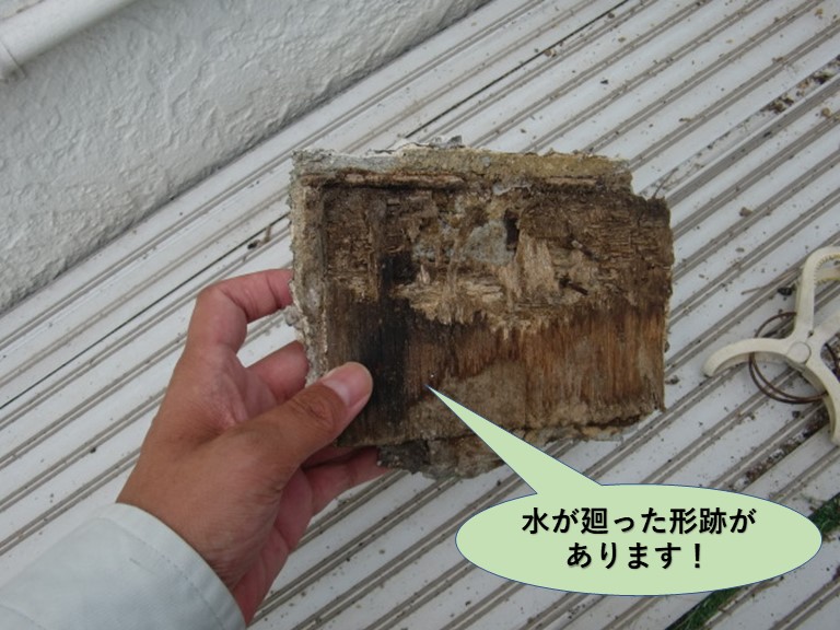 岸和田市の落下した軒天井板に水が廻った形跡があります