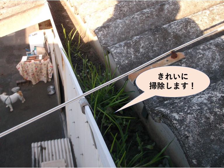 岸和田市の雨樋を掃除します！