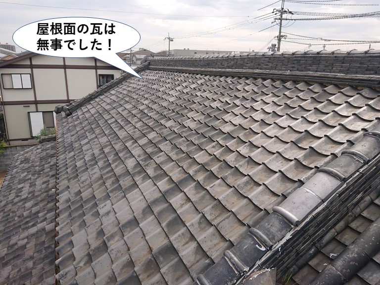 岸和田市の屋根面の瓦は無事でした
