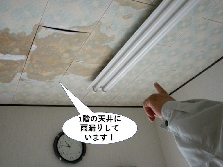岸和田市の1階のお部屋で雨漏り