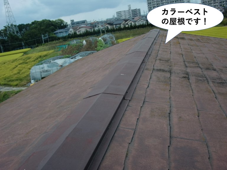 貝塚市のカラーベストの屋根です