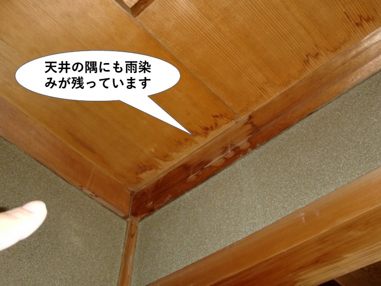 泉佐野市の天井の隅にも雨染みが残っています