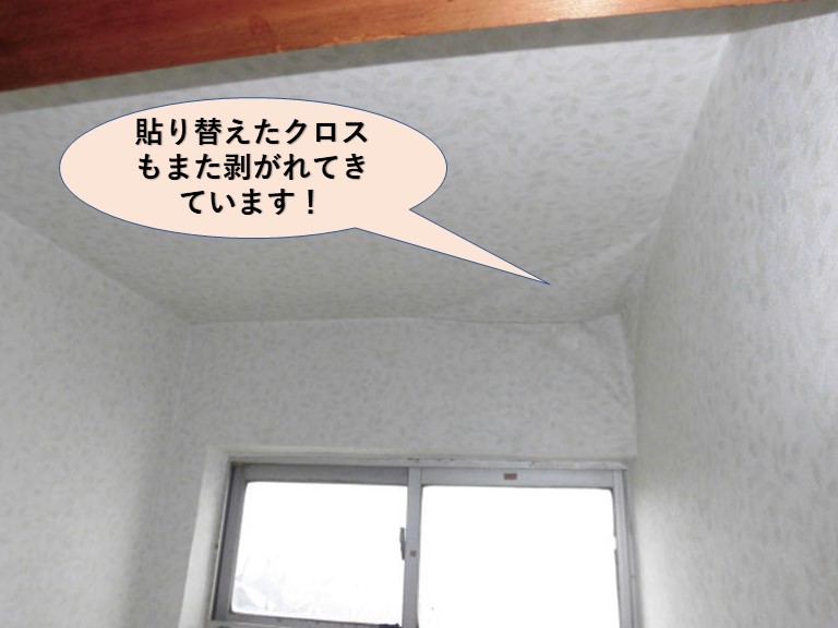 岸和田市のトイレの張替えたクロスも剥がれてきています