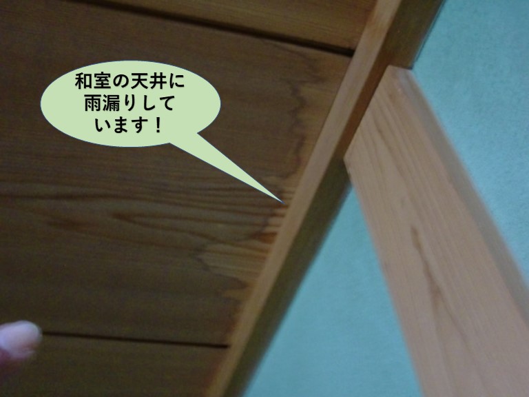 熊取町の1階の和室の天井に雨漏りしています