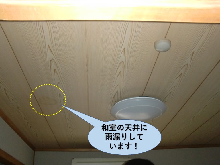 熊取町の和室の天井に雨漏りしています