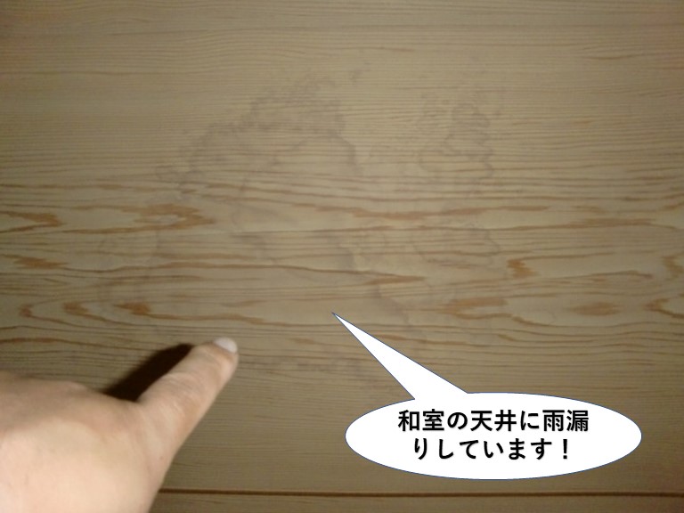 貝塚市の和室の天井に雨漏りしています