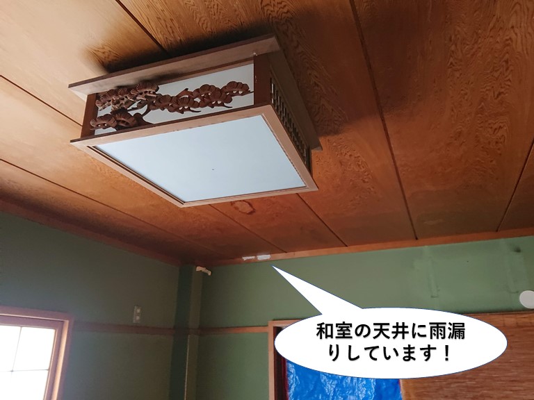 岸和田市の2階の和室の天井に雨漏りしています