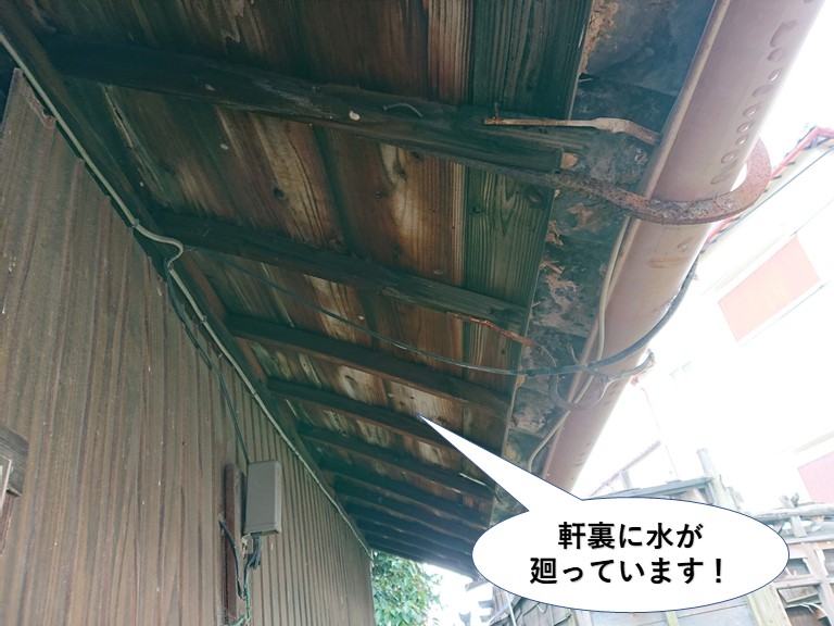 貝塚市の玄関屋根の軒裏に水が廻っています