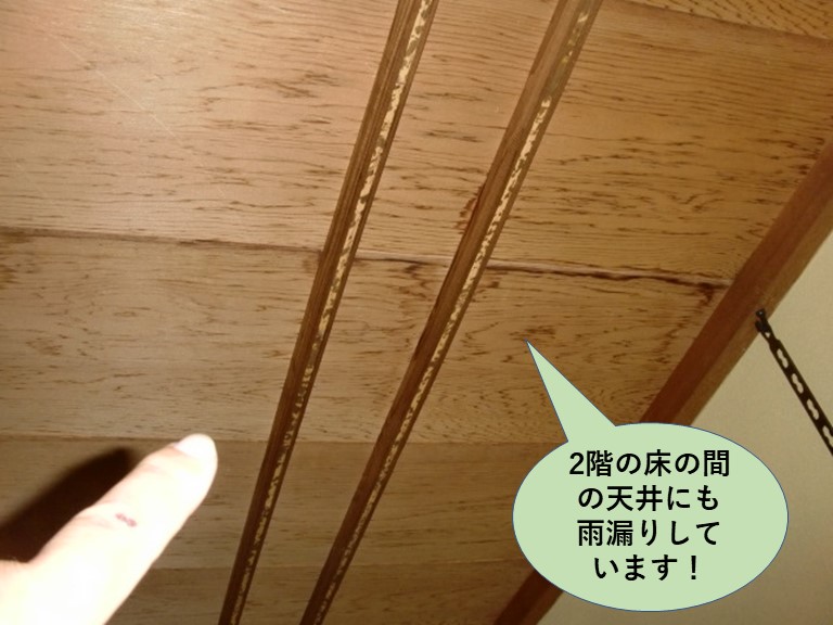 泉大津市の2階の床の間の天井にも雨漏り発生