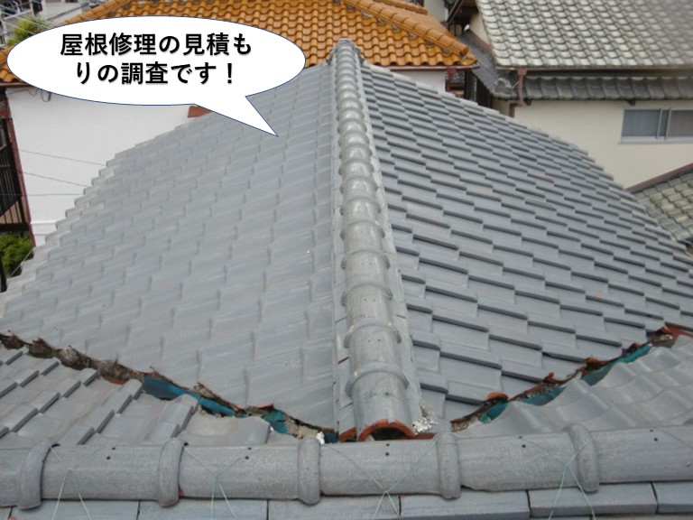 阪南市の屋根修理の見積もりの調査です