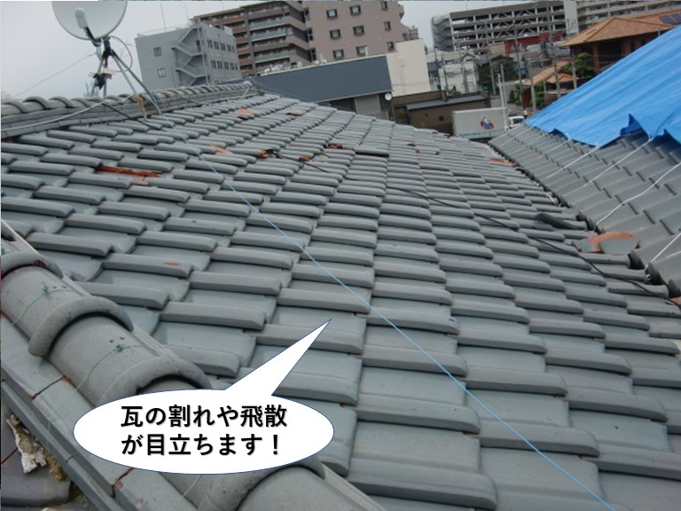 和泉市の屋根の瓦の割れや飛散が目立ちます