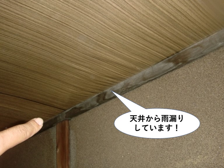 貝塚市の天井から雨漏りしています