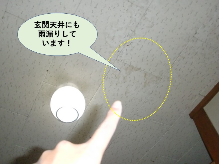 岸和田市の玄関の天井に雨漏りしています