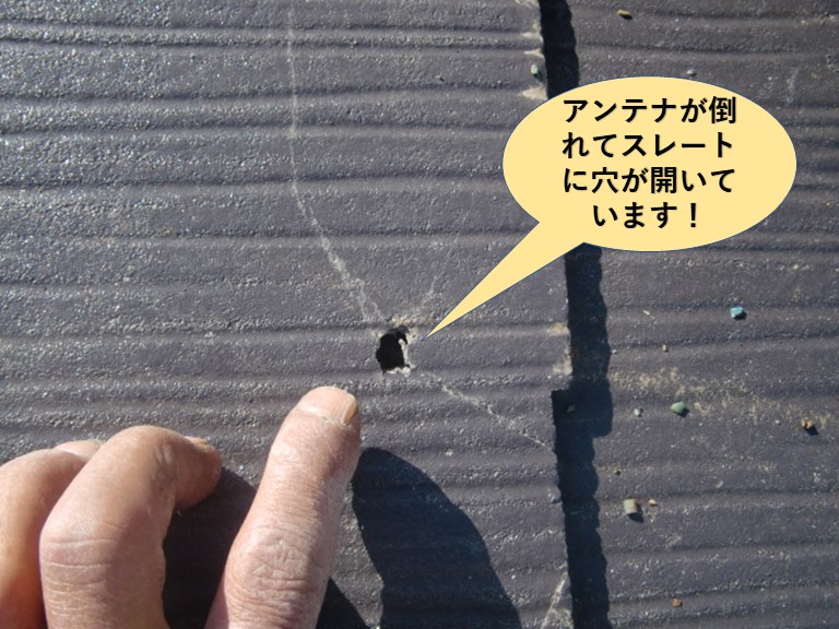 岸和田市の屋根のアンテナが倒れてスレートに穴が開いています