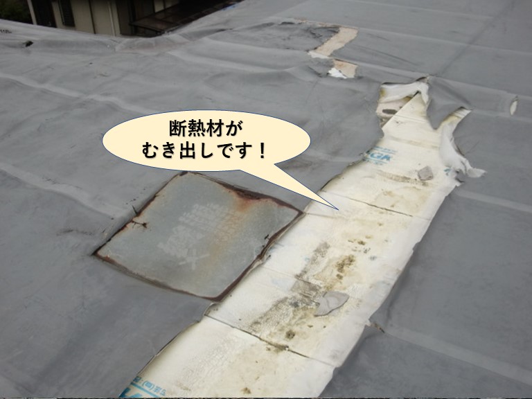 貝塚市の陸屋根の断熱材がむき出しです