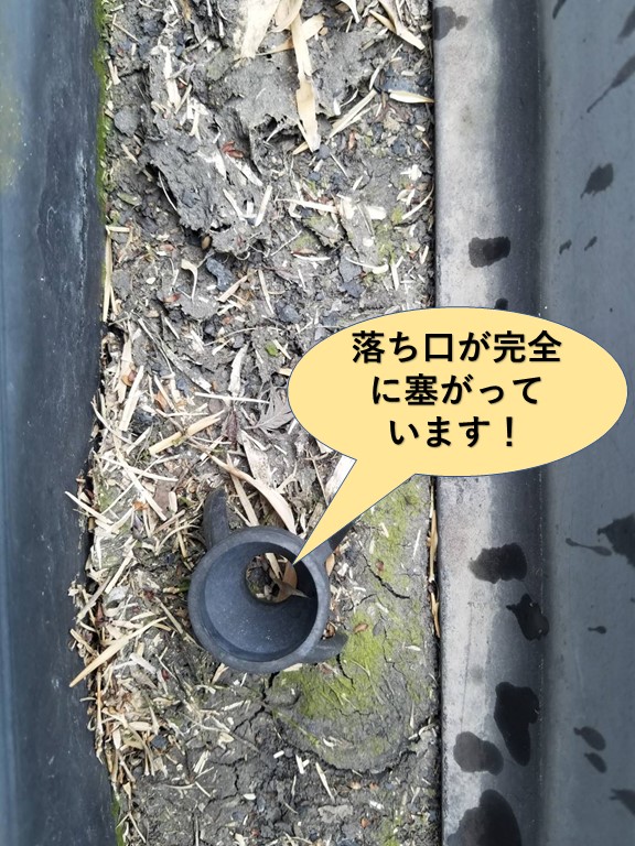 和泉市の樋の落ち口が完全に詰まっています