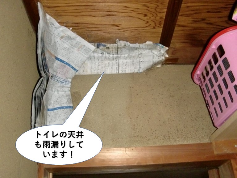 貝塚市のトイレの天井にも雨漏り発生