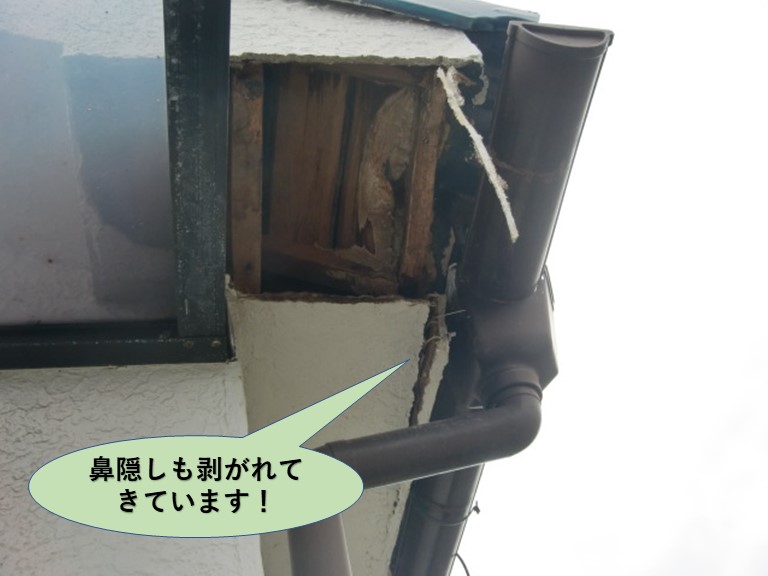 岸和田市の屋根の鼻隠しも剥がれてきています