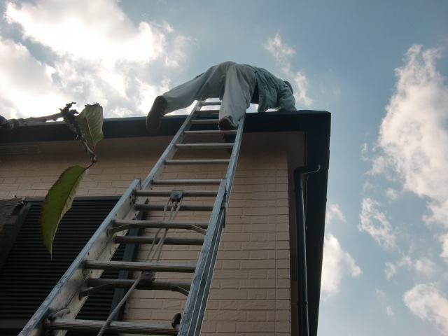 岸和田市上松町の雨漏り現地調査で屋根に上ります！