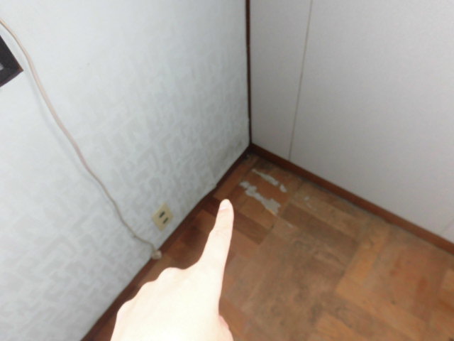岸和田市の二階のお部屋の床にも雨漏り