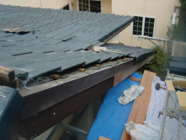 泉佐野市の台風被害に遭った屋根