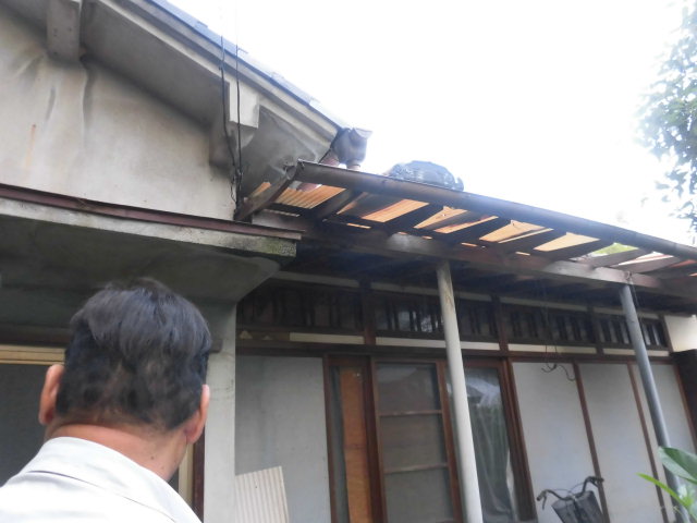 泉南郡熊取町の台風で飛ばされた波板現地調査