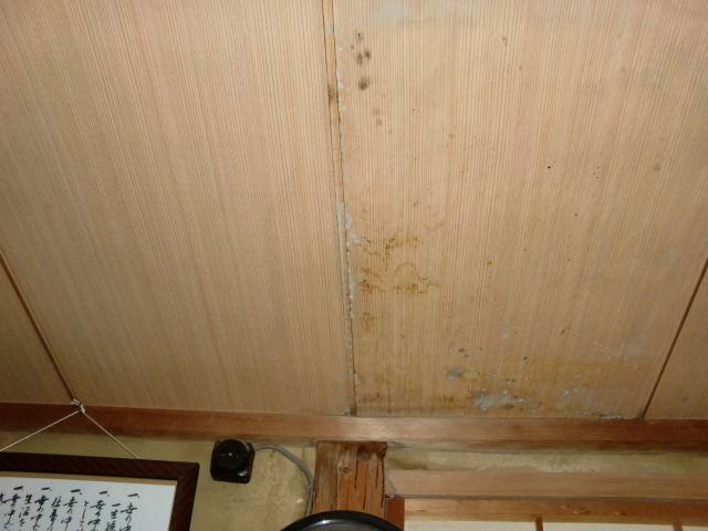 岸和田市土生町の和室天井の雨漏り調査