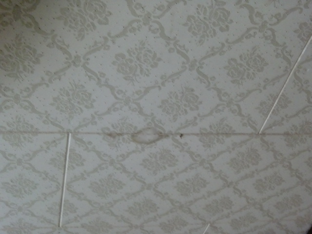 岸和田市下野町のキッチンの天井に雨漏りの跡
