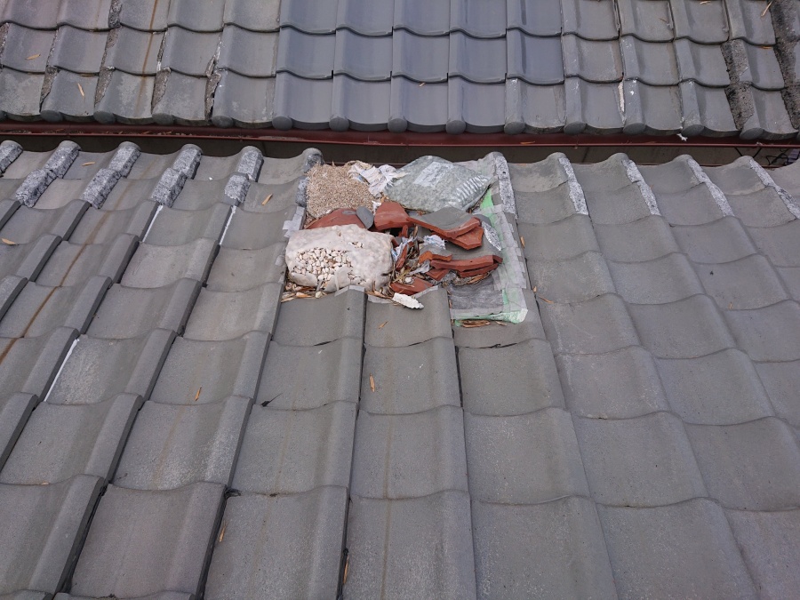 岸和田市の台風被害に遭った屋根