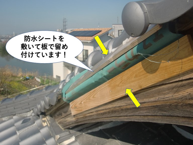 岸和田市の棟に防水シートを敷いて板で留め付けています
