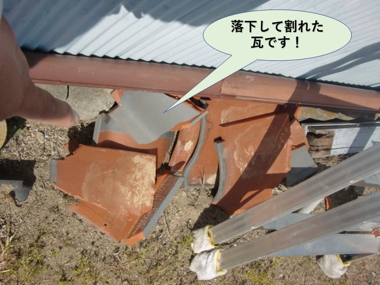 岸和田市の落下して割れた瓦です