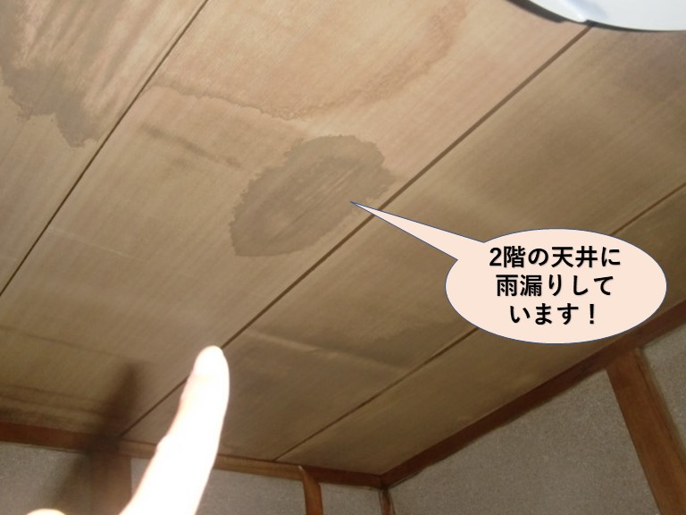 和泉市の2階の天井に雨漏りしています
