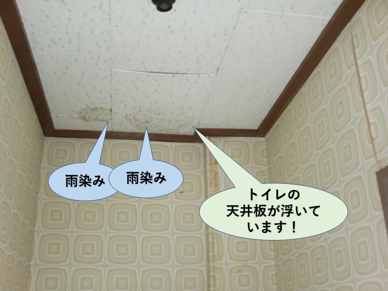 和泉市のトイレの天井板が濡れて浮いています
