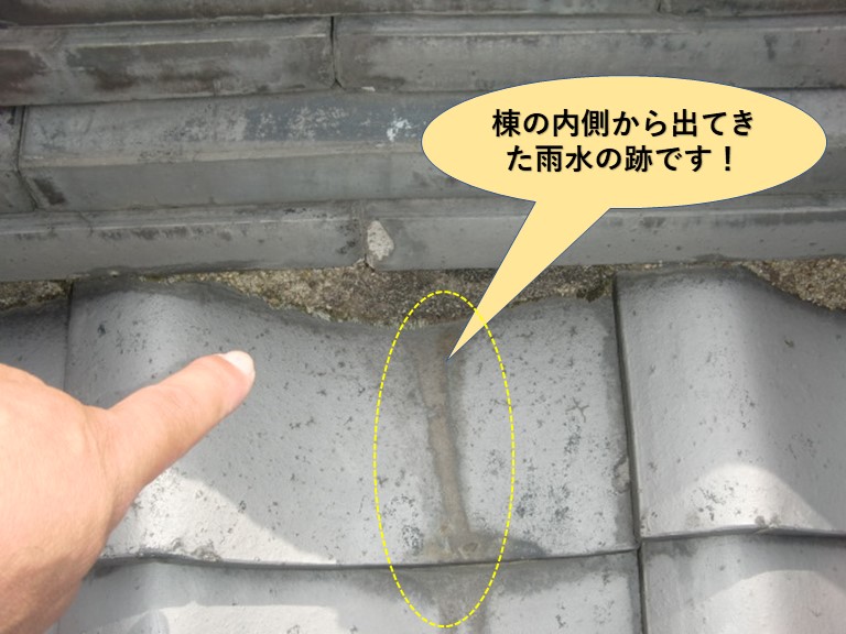 岸和田市の大屋根の棟の内側から出てきた雨水の跡です