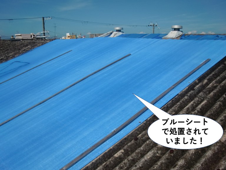 和泉市の倉庫の屋根をブルーシートで処置されていました