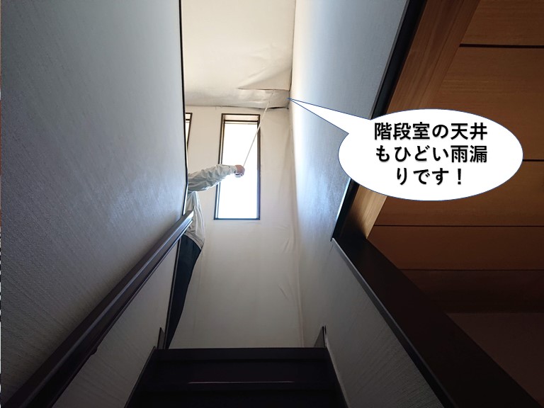 泉大津市の階段室の天井もひどい雨漏りです