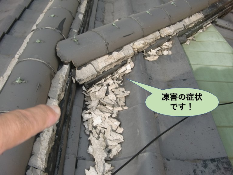 岸和田市の屋根の瓦の凍害の症状です！