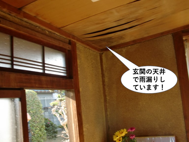 和泉市の玄関の天井で雨漏りしています