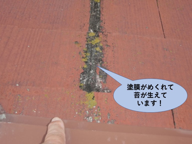 岸和田市の瓦の塗膜がめくれて苔が生えています