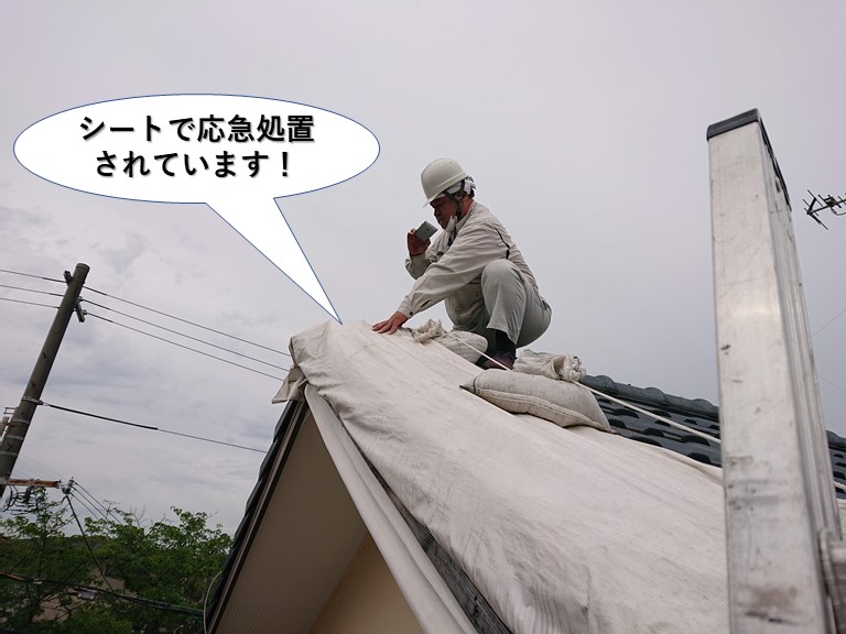 泉佐野市の屋根をシートで応急処置されています